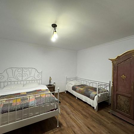 Vila Speranta Pleşcoi Esterno foto