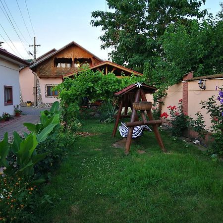 Vila Speranta Pleşcoi Esterno foto
