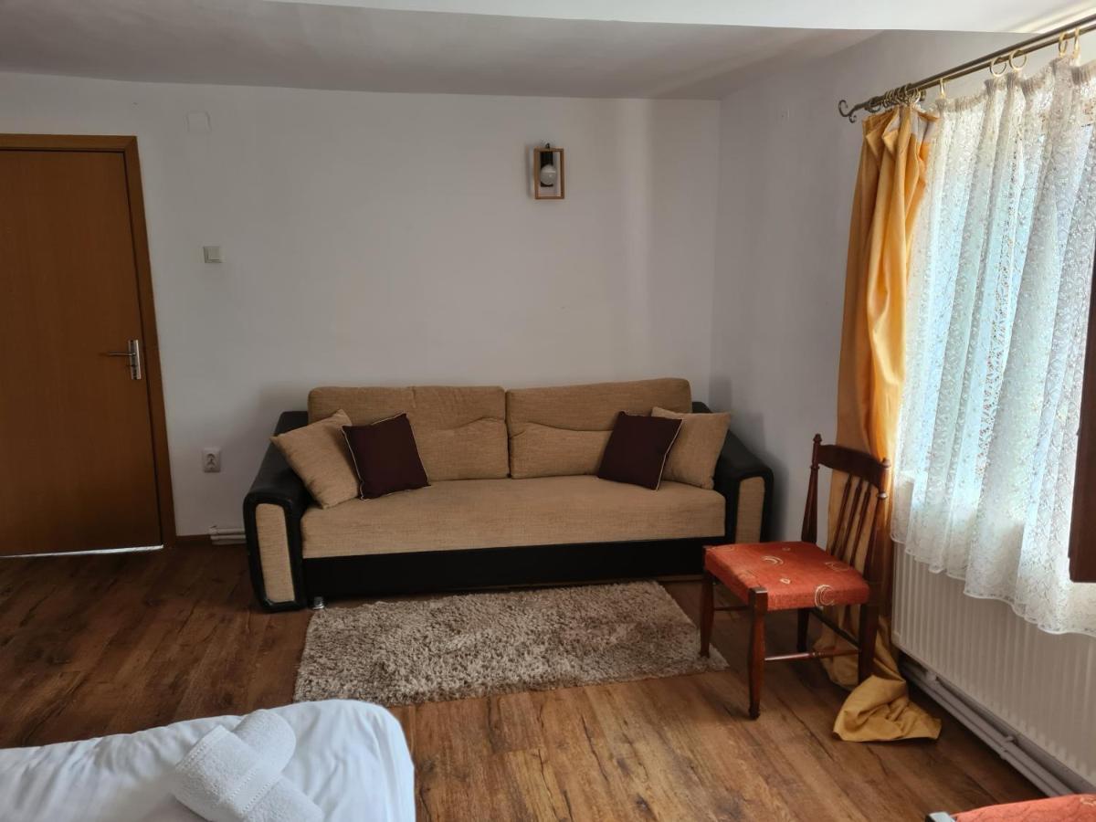 Vila Speranta Pleşcoi Esterno foto