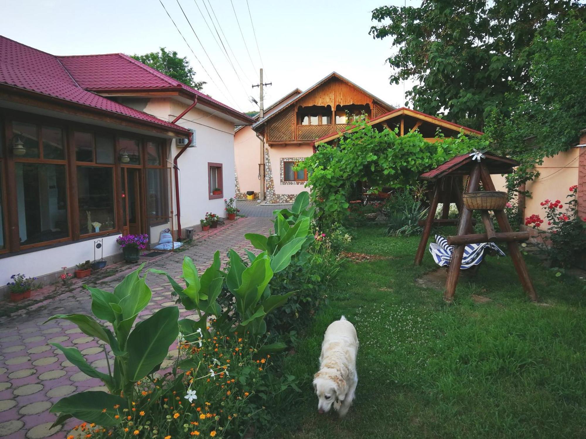 Vila Speranta Pleşcoi Esterno foto