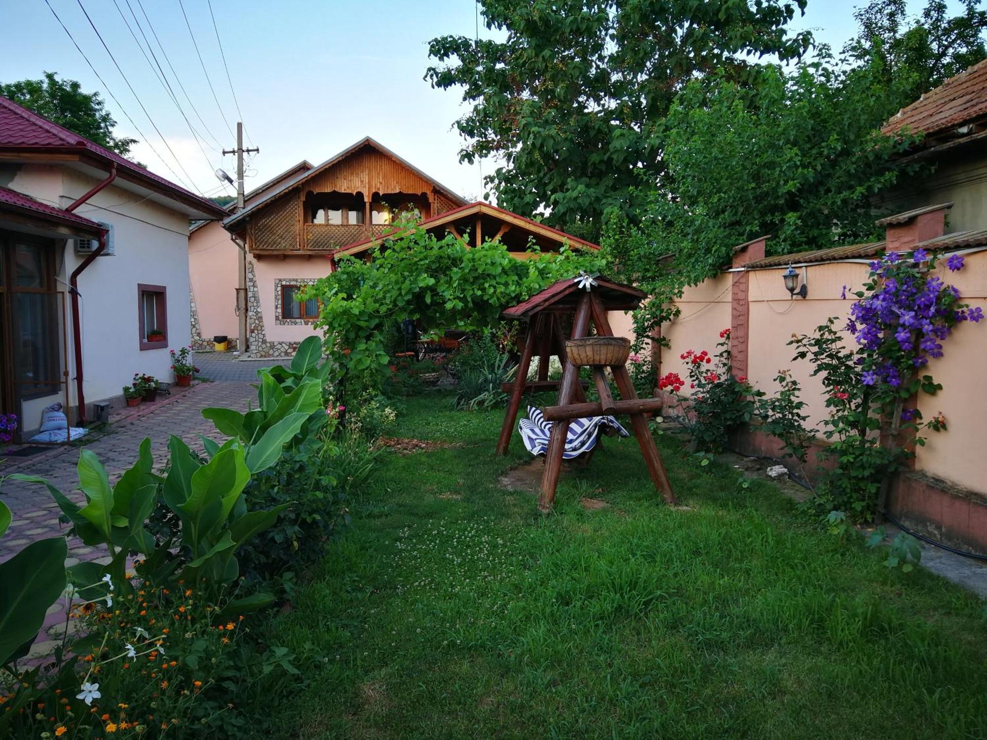 Vila Speranta Pleşcoi Esterno foto